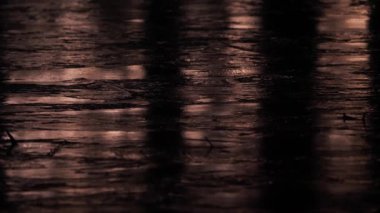 Tokyo, Japan - January 11, 2023: (time-lapse) Shadow of trees on the ice at dawn