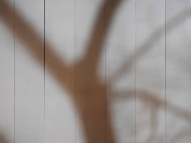 Tokyo, Japan - January 12, 2023: Shadow of a tree on a house wall in the winter,night