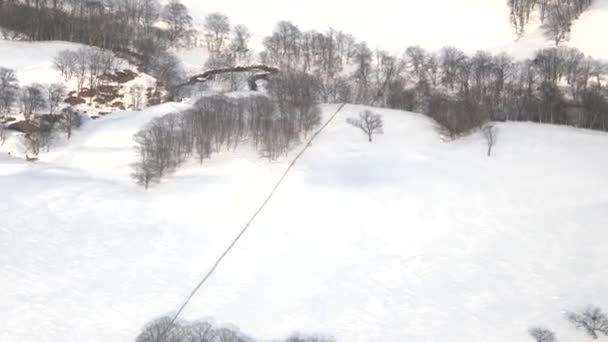 Hokkaido Japan January 2023 Windbreak Forest Shelter Belt Snow Covered — Stock Video