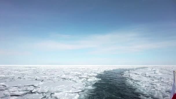 Хоккайдо Японія Лютого 2023 Льодовий Дрейф Порту Абашірі Хоккайдо Японія — стокове відео