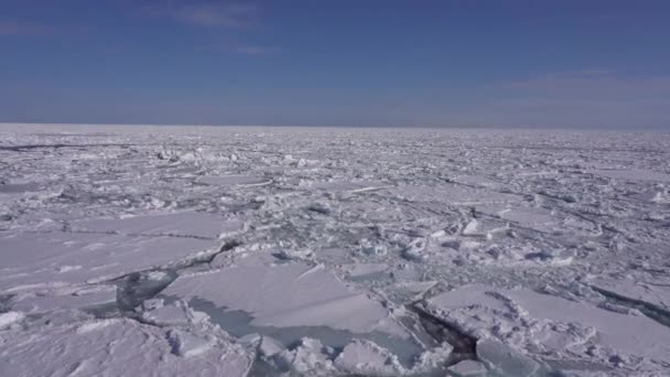 Hokkaido Japan February 2023 Drift Ice Offing Abashiri Port Hokkaido — Stock video
