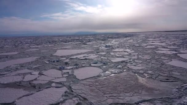 Hokkaido Japan February 2023 Drift Ice Offing Abashiri Port Hokkaido — Αρχείο Βίντεο