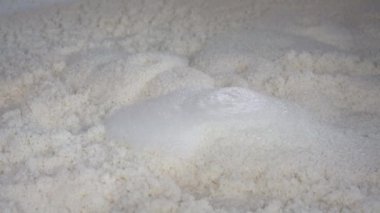 Kyoto, Japonya - Şubat 21, 2023: sake mayalama işlemi sırasında sake malttan çıkan karbondioksit kabarcığı