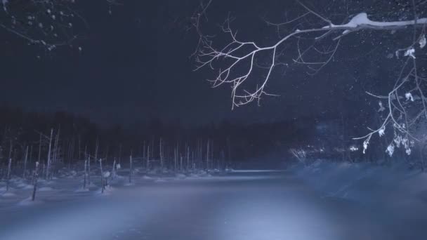 Hokkaido Japan February 2023 Illuminated Blue Pond Aoi Ike Biei — стоковое видео