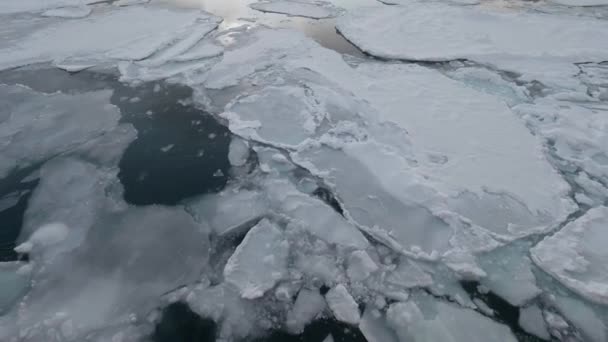 北海道 2023年2月25日 北海道紋別港沖の流氷 — ストック動画