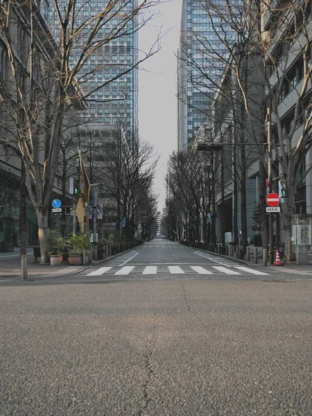 Τόκιο Ιαπωνία Μαρτίου 2023 Οδός Γκιόκο Την Άνοιξη Πρωί Στο — Φωτογραφία Αρχείου