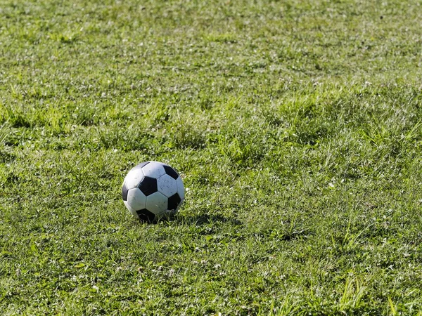 stock image Tokyo, Japan - May 4, 2023: A soccer ball on grass