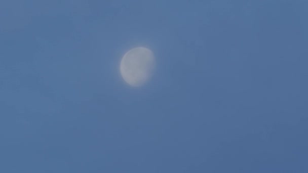 Токио Япония Мая 2023 Года Луна Покрыта Тонкими Облаками Момент — стоковое видео