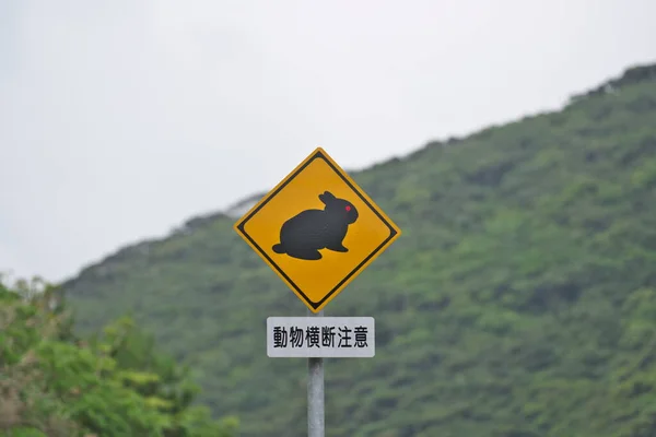 Kagoshima Japan Tier Überquert Straßenschild Für Ein Gefährdetes Amami Kaninchen — Stockfoto
