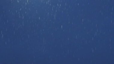 Tokyo, Japonya - 23 Mayıs 2023: Geceleyin ağır yağmur yağar