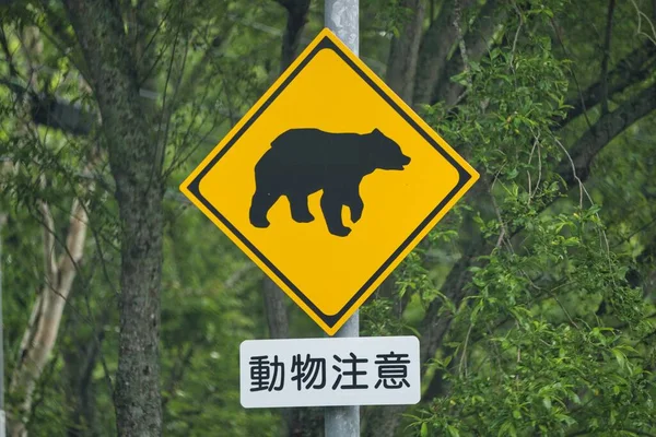 Hokkaido, Japonya - 11 Haziran 2023: Japon Hokkaido, Japonya 'da bir kahverengi ayı veya Higuma için hayvan kavşağı tabelası
