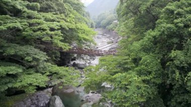 Tokushima, Japonya - 25 Haziran 2023: Iya asma köprüsü veya Iya Kazura köprüsü. Shirakuchikazura adlı tesisten yapılmış bir asma köprü..