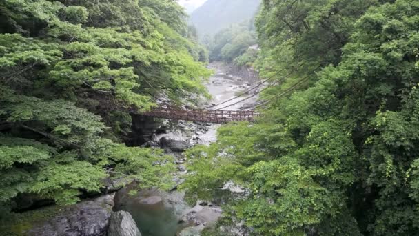 Tokushima Japonsko Června 2023 Iya Vinný Most Nebo Iya Kazura — Stock video