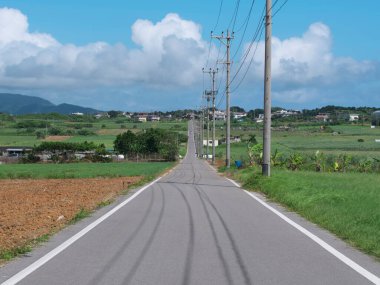 Okinawa, Japonya - 2 Temmuz 2023: Kohamajima Adası, Okinawa, Japonya 'daki şeker yolu