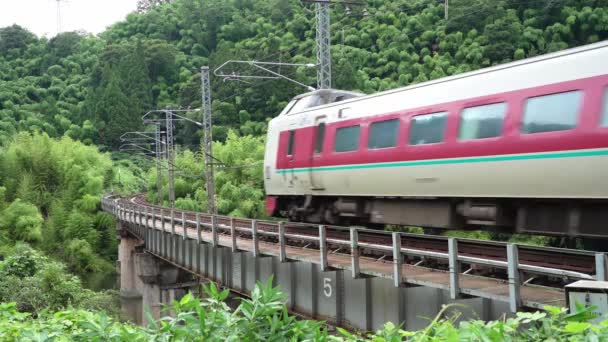 Тоттори Япония Июля 2023 Ограниченный Экспресс Поезд Курсирующий Мосту Между — стоковое видео