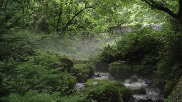 Tottori Ιαπωνία Ιουλίου 2023 Ρεύμα Kitanizawa Στους Πρόποδες Του Βουνού — Αρχείο Βίντεο