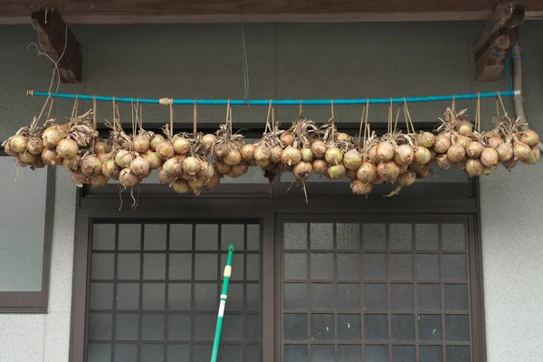 Tottori Japón Julio 2023 Cebollas Colgando Bajo Los Aleros Voladizo —  Fotos de Stock