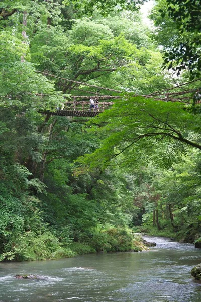 富山県 2023年7月16日 つる橋またはかずら橋 白口蔵 しらくちかづら という工場製の吊り橋 — ストック写真