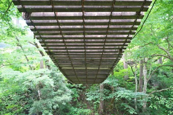 Toyama Japão Julho 2023 Ponte Vine Ponte Kazura Uma Ponte — Fotografia de Stock