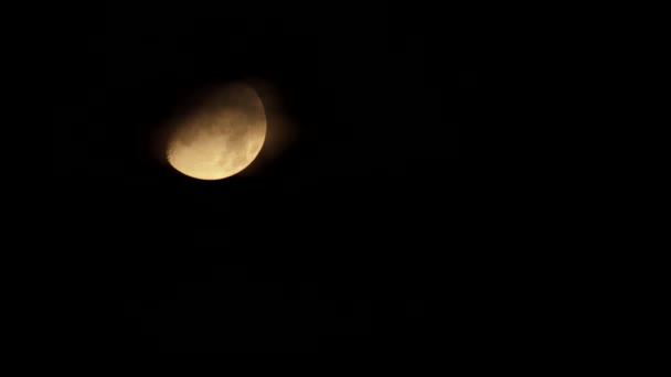 2023年8月27日 夜に設定される曇った雲で覆われたタイムラプス半月 — ストック動画