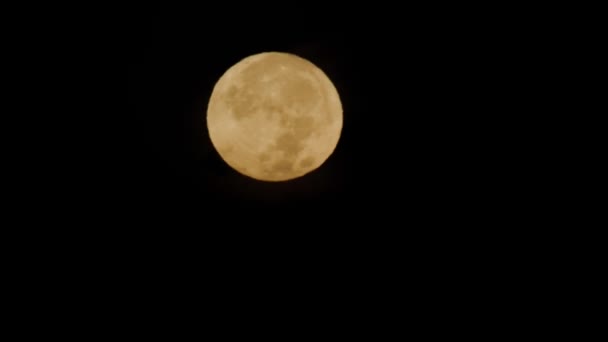 2023年8月31日 夜に設定される曇った雲で覆われた満月 — ストック動画