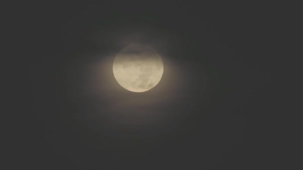 Tokyo Japan August 2023 Full Moon Covered Faint Clouds Going — Stock Video