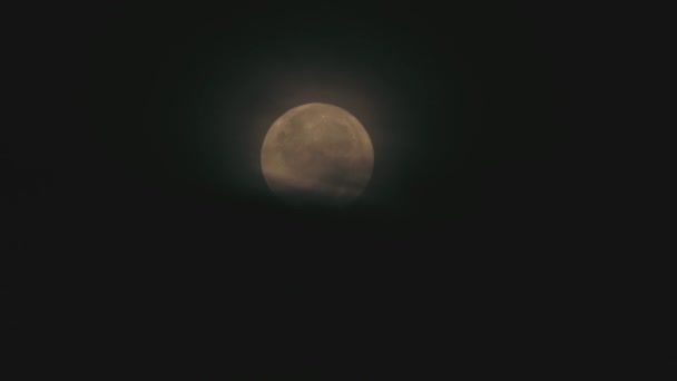 Tokyo Giappone Agosto 2023 Luna Piena Ricoperta Nuvole Deboli Che — Video Stock