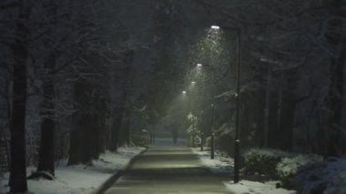 Tokyo, Japonya - 8 Mart 2023: Tokyo, Japonya 'da sokağa kar yağıyor