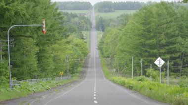 Hokkaido, Japonya - 3 Haziran 2024: Nakashibetsu, Hokkaido, Japonya 'da Süt Yolu adı verilen düz yol