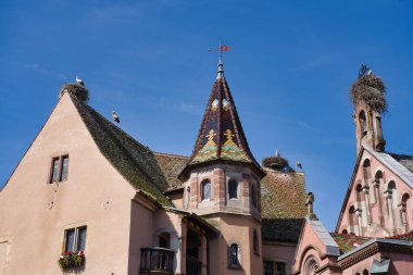 Eguisheim, Fransa - 18 Haziran 2024: Eguisheim Kilisesi 'nin çatısında leylekler