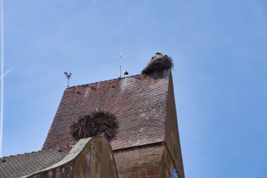 Eguisheim, Fransa - 18 Haziran 2024: Eguisheim Kilisesi 'nin çatısında leylekler