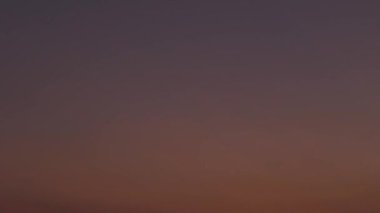 Tokyo, Japonya - 13 Ağustos 2024: Sabah gökyüzünde uçan kuşlar.