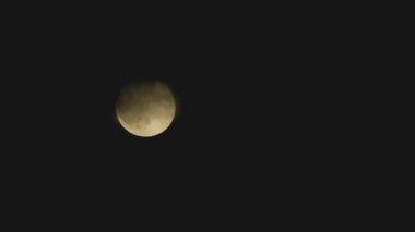 Tokyo, Japonya - 21 Ağustos 2024: Sturgeon Moon veya Supermoon in August