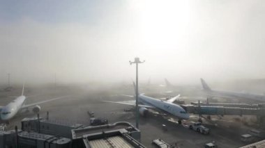 Tokyo, Japonya - 8 Nisan 2024: Tokyo Uluslararası Havaalanı Pisti Sabah Pusuyla Pisti 