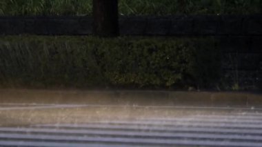 Tokyo, Japonya - 31 Ağustos 2024: Şiddetli yağmur far ile aydınlatıldı