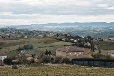 Beaujolais, Fransa - 7 Ekim 2024: Beaujolais, Fransa 'da güzel üzüm bağları