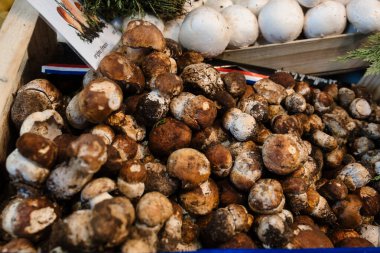 Paris, Fransa - 8 Ekim 2024: Porcini mantarı veya Cepe Fransa 'nın Paris kentindeki açık pazarda satıldı