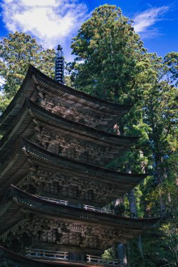 Akita,Japan -  October 29, 2024: Mt. Haguros Five-Story Pagoda in Akita, Japan clipart