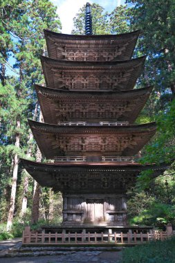 Akita, Japonya - 29 Ekim 2024: Akita, Japonya 'da Haguros Beş Katlı Pagoda