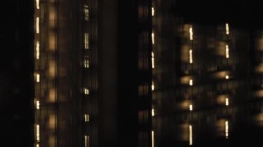 Tokyo, Japonya - 16 Aralık 2024: Göl yüzeyindeki apartman ışıklarının yansıması