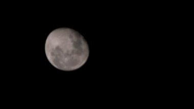 Tokyo, Japonya - 18 Aralık 2024: Gölet yüzeyindeki ayın yansıması