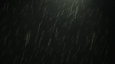 Tokyo, Japonya - 2 Şubat 2025: Gece sokak lambası altında yağmur yağar