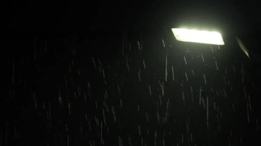 Tokyo, Japonya - 2 Şubat 2025: Gece sokak lambası altında yağmur yağar