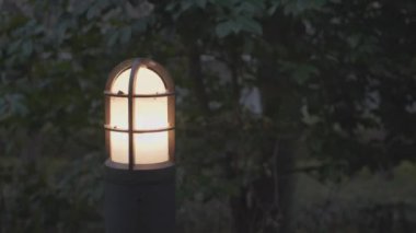 Tokyo, Japonya - 3 Şubat 2025: Bahçedeki kırık sokak lambası