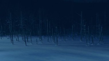 Hokkaido, Japonya - 22 Aralık 2023: Biei, Hokkaido, Japonya 'da Aydınlanmış Mavi Gölet