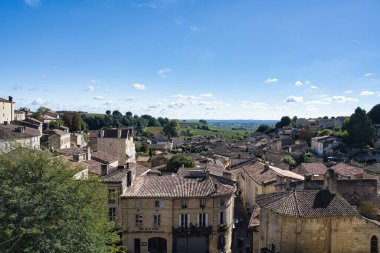 Saint Emilion, Fransa - 4 Ekim 2024: Fransa 'nın Saint Emilion köyündeki güzel üzüm bağları