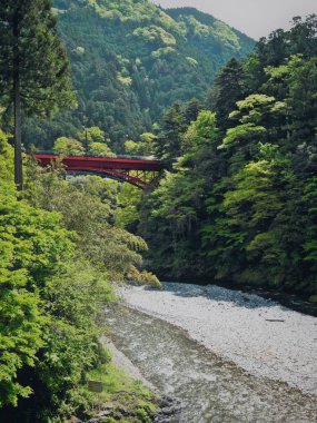 Tokyo, Japonya - 29 Nisan 2025: Okutama, Tokyo 'da Hikawa Vadisi, yazın başında