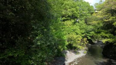 Tokyo, Japonya - 29 Nisan 2025: Okutama, Tokyo 'da Hikawa Vadisi, yazın başında
