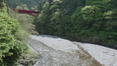 Tokyo, Japonya - 29 Nisan 2025: Okutama, Tokyo 'da Hikawa Vadisi, yazın başında