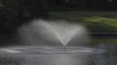 Tokyo, Japonya - 22 Haziran 2025: Tokyo, Japonya 'da sabahın erken saatlerinde bir parkta yavaş çekim kaynağı
